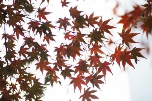 听着外面的雨声的说说(听年华的淙淙流淌…)