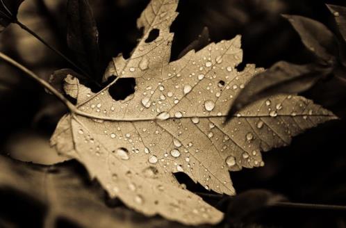 下雨天好心情说说大全 表达今天心情好的句子