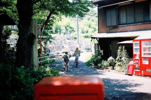 班主任评价学生的评语 夸奖学生的句子大全