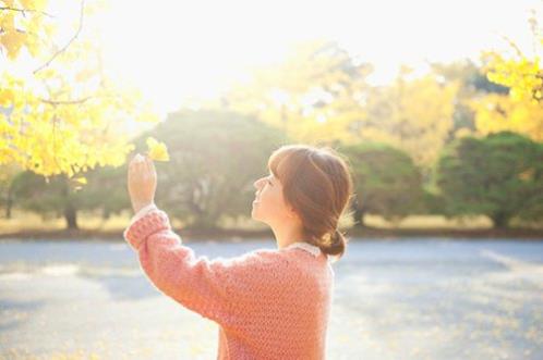 莲花安妮宝贝百度云