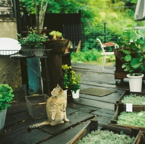 形容老师伟大无私奉献的诗歌 比喻老师奉献的句子