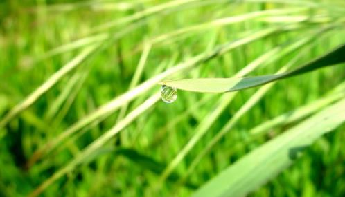 雨天没带伞的经典说说 雨天的心情经典句子说说