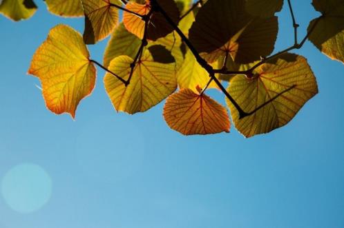 节日祝福短信大全（三八妇女节祝福朋友圈）