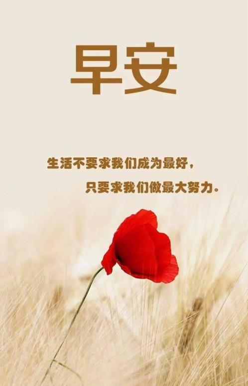 比喻老师对学生的句子（学生对老师的感情句子）