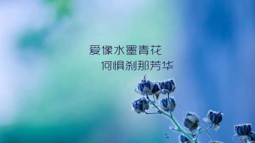 精美简练的励志短句图片 励志图片带字唯美