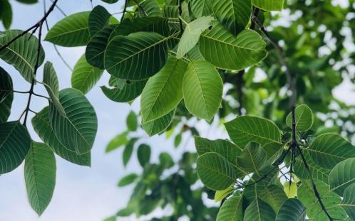 自己的结婚祝福语大全：你就是上苍赐予我最好的礼物…