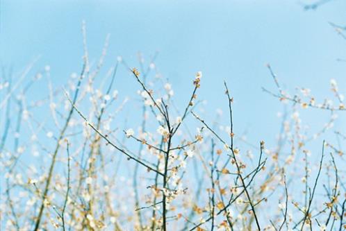 三八妇女节温馨祝福语