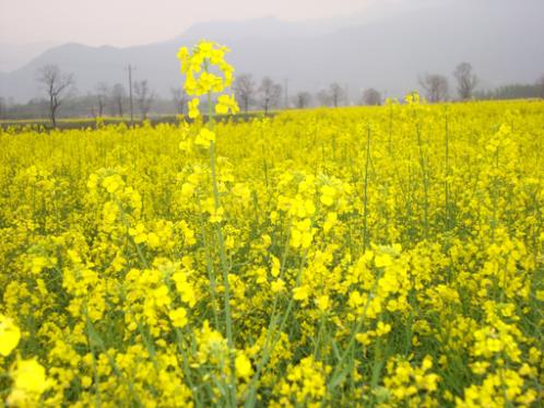 教师节朋友圈说说句子大全（心情不好的话发朋友圈）