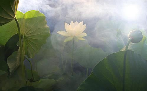 重阳节祝福老人的句子 重阳节孩子送给老人的祝福话