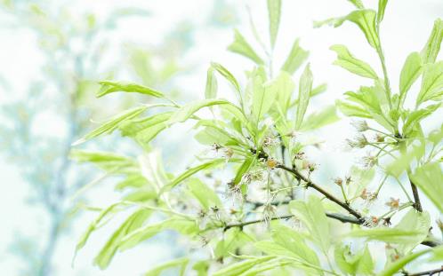 夫妻风雨同舟相濡以沫