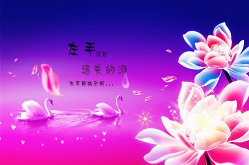 结婚红包上贺词及格式 结婚祝福语8个字