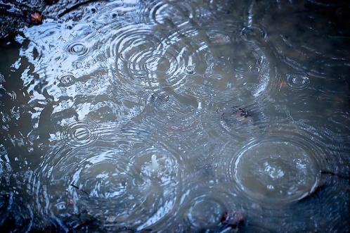 形容雨后天晴的唯美句子(雨过天晴适合发朋友圈的短句)