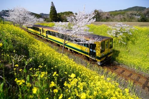 愚人节短信祝福语[25条]