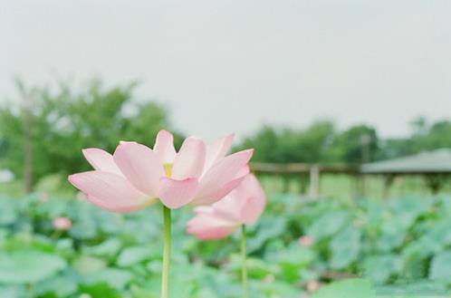 祝孩子一周岁生日祝福语 一周岁祝福语简短20字