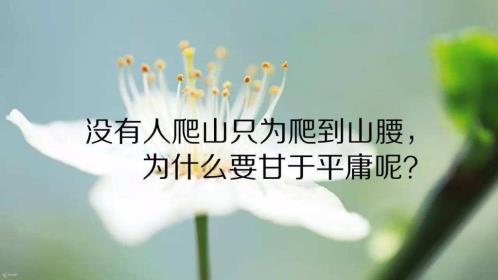 适合发朋友圈的句子励志 幽默积极向上的句子朋友圈