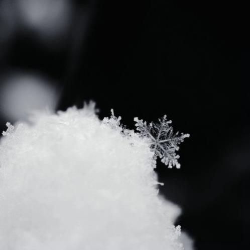 父亲节写给父亲的话(爸爸的眼镜片折射出智慧的光芒…)