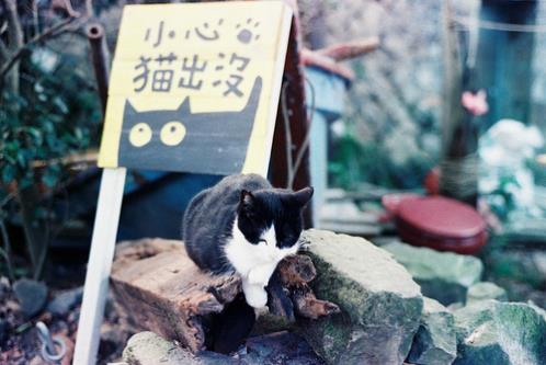 有关人生的名言警句（激励人生名言名句大全）