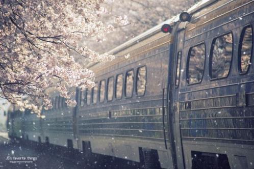 六一儿童节祝福：童年是一泓平静的湖面…